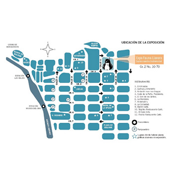 Ubicación del Museo de la Salle - Infografía - Adobe Illustrator