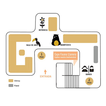 Ubicación del Museo de la Salle - Infografía - Adobe Illustrator
